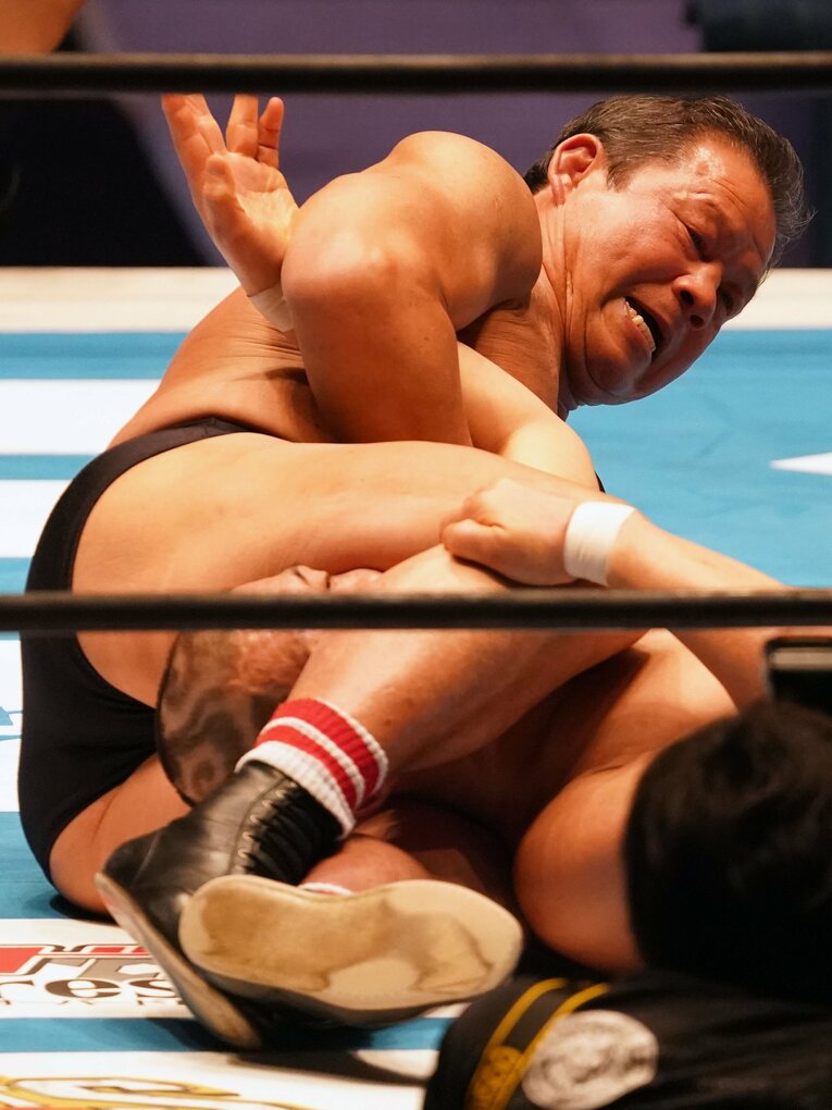 鈴木みのるを攻める藤波