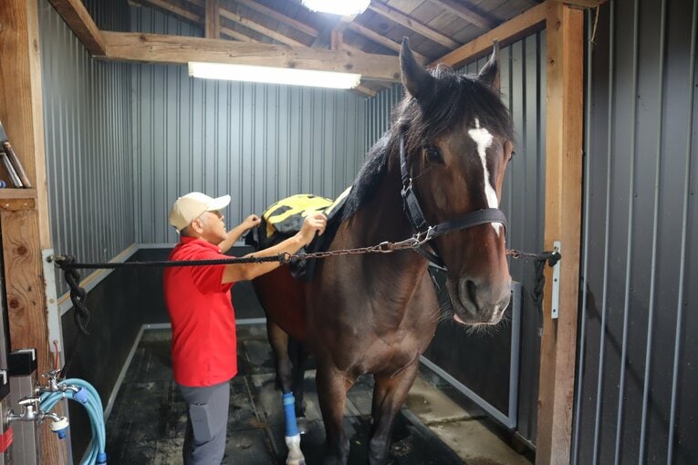 佐藤弘典さんによるキャノンストームの馴致の様子