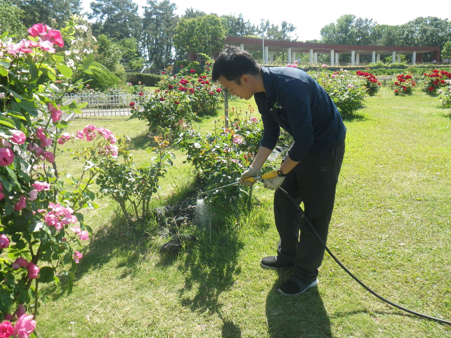 緑地管理部の業務　©Hanshin Engei