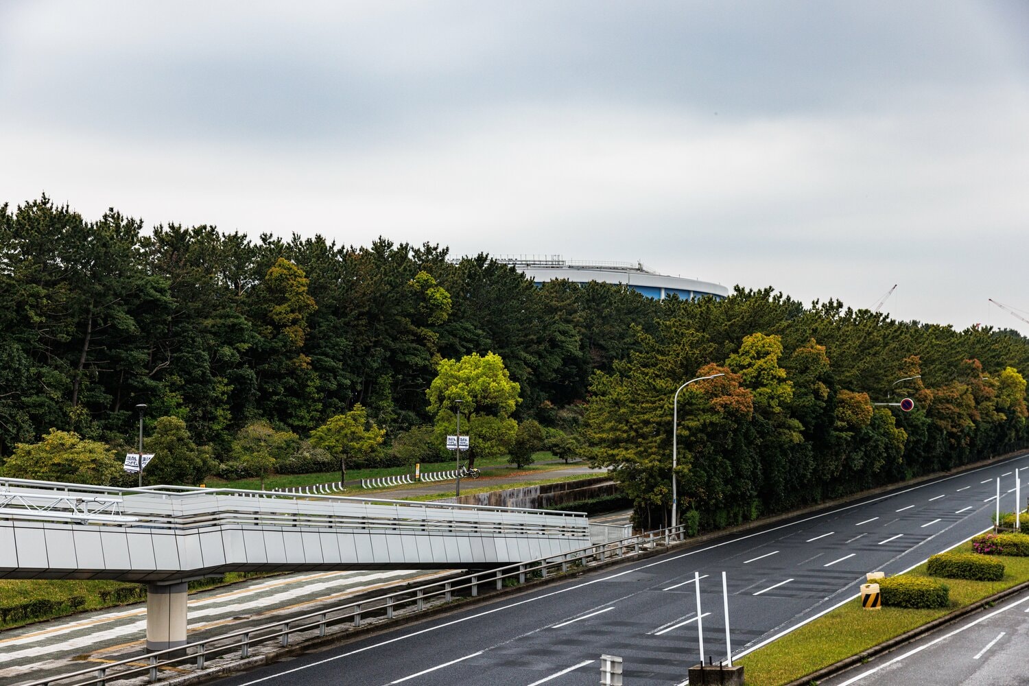 緑の木々の間にようやく見えてきたZOZOマリンスタジアム