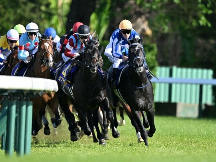 1番人気ロブチェン松山弘平の“奇襲”に中山騒然…皐月賞の核心「“行った行った”でも、なぜ名勝負になったのか？」惜敗した津村明秀の“ある証言”＜Number Web＞ photograph by Keiji Ishikawa