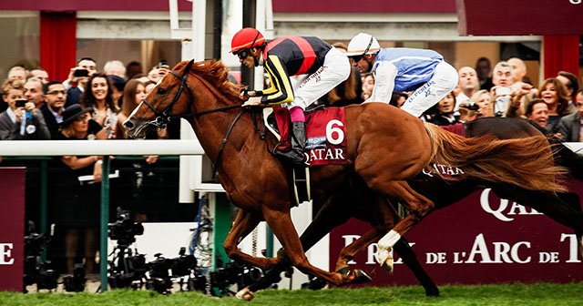 助成金/競馬/アパレル/Orfevre/Paris/Reins/Tote/Bag/オ