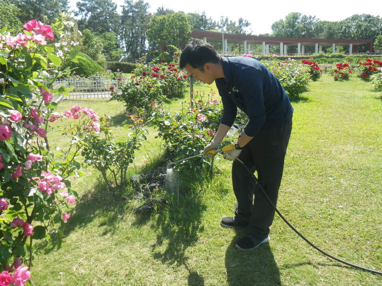 緑地管理部の業務　©Hanshin Engei