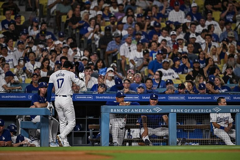 【2024年9月撮影・ショウヘイの愛される日々】 ／ photograph by Nanae Suzuki