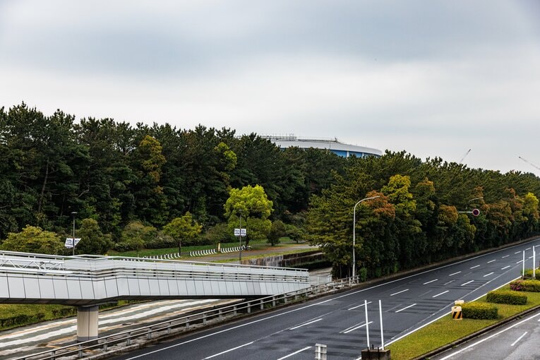 緑の木々の間にようやく見えてきたZOZOマリンスタジアム