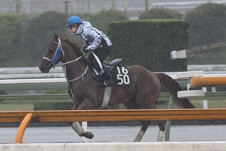 雑誌『Number』の1週間密着企画にて　©Keiji Ishikawa