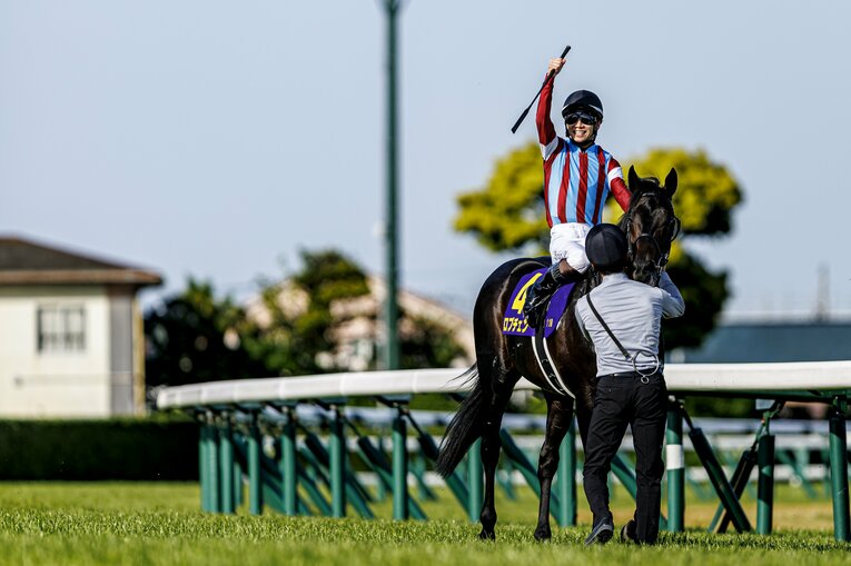 ファンの声援に応える松山弘平　©Kiichi Matsumoto