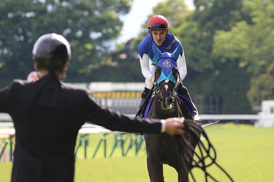 一度は条件戦に落ちた馬がGI勝利。アドマイヤリードの器はいかほどか。<Number Web> photograph by Yuji Takahashi