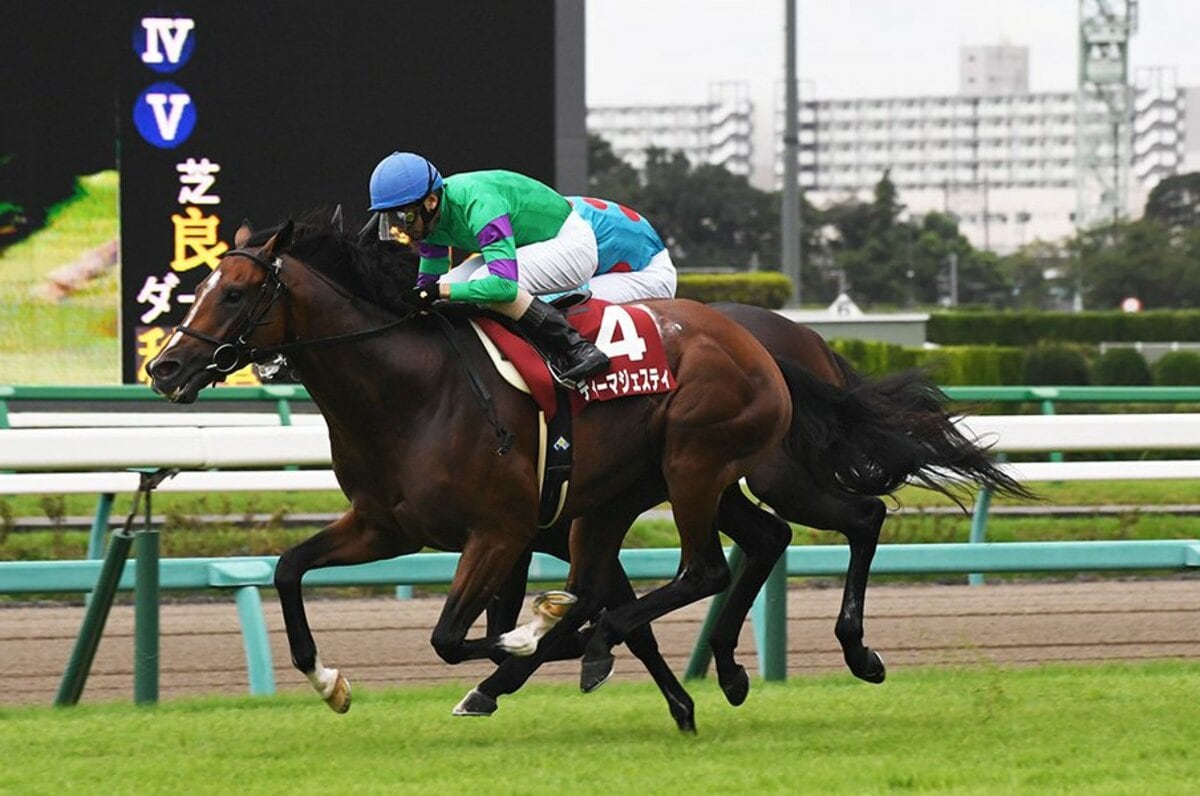 2／3）「菊花賞は強い馬が勝つ」は古い。折り合いが重要なら、ディー