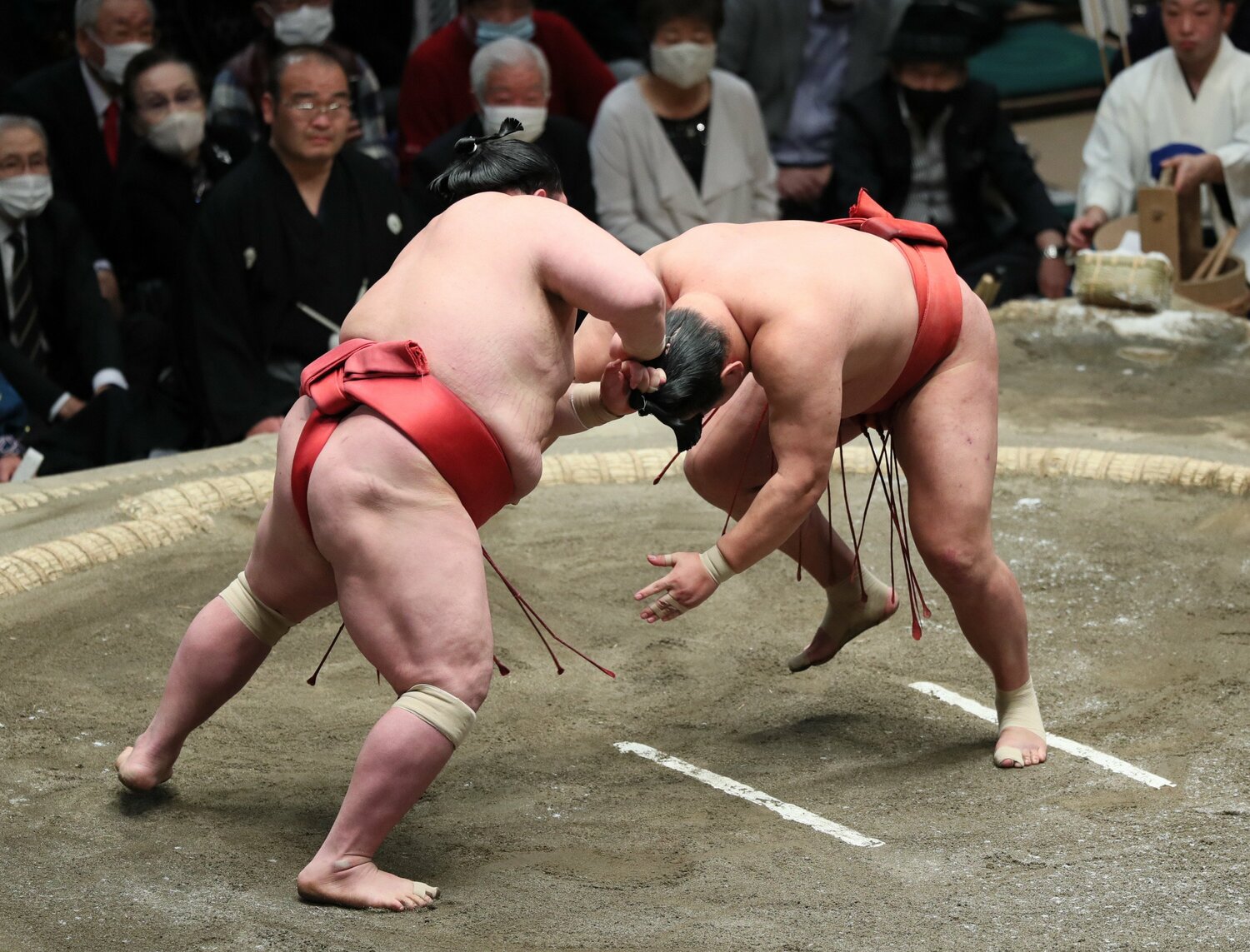 千秋楽、阿武咲（左）は豊昇龍のまげをつかんで反則負け　©JIJI PRESS