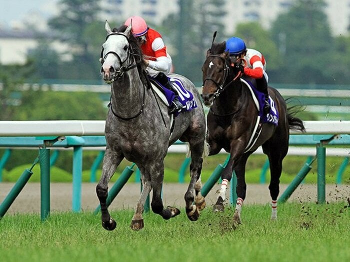 “2強”を出し抜いたゴールドシップ。型を崩して勝った内田の深謀遠慮。<Number Web> photograph by AFLO