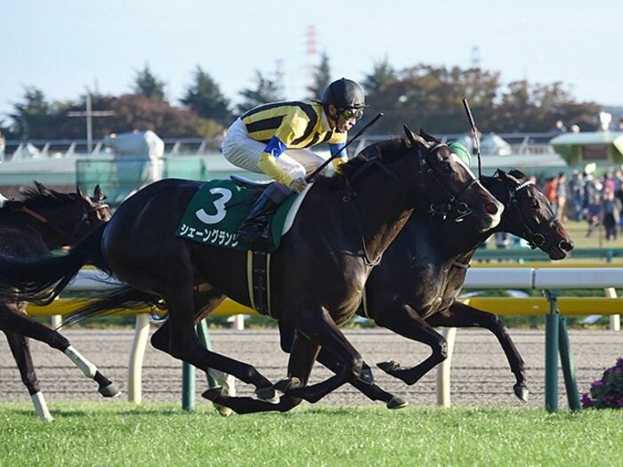外国人騎手の8週連続GIが止まるか。2歳女王の最有力は武豊の騎乗馬？＜Number Web＞ photograph by NIKKAN SPORTS