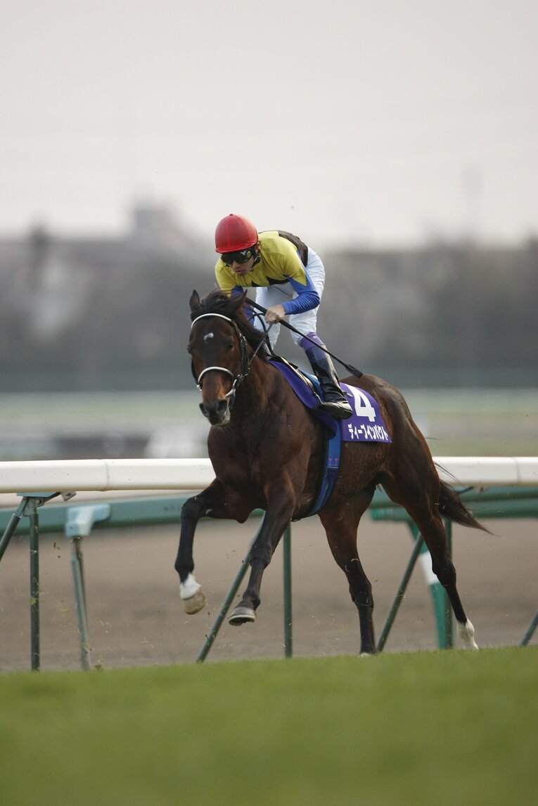 武豊とディープインパクト（2006年・有馬記念）©Takuya Sugiyama