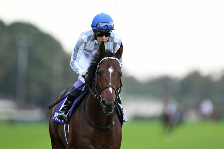 返し馬でのドウデュースと武豊　©Keiji Ishikawa