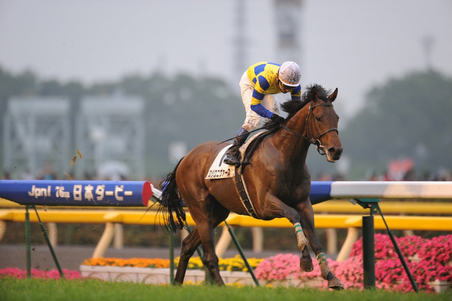 第76回日本ダービーを制したロジユニヴァースと横山典弘　©︎Keiji Ishikawa