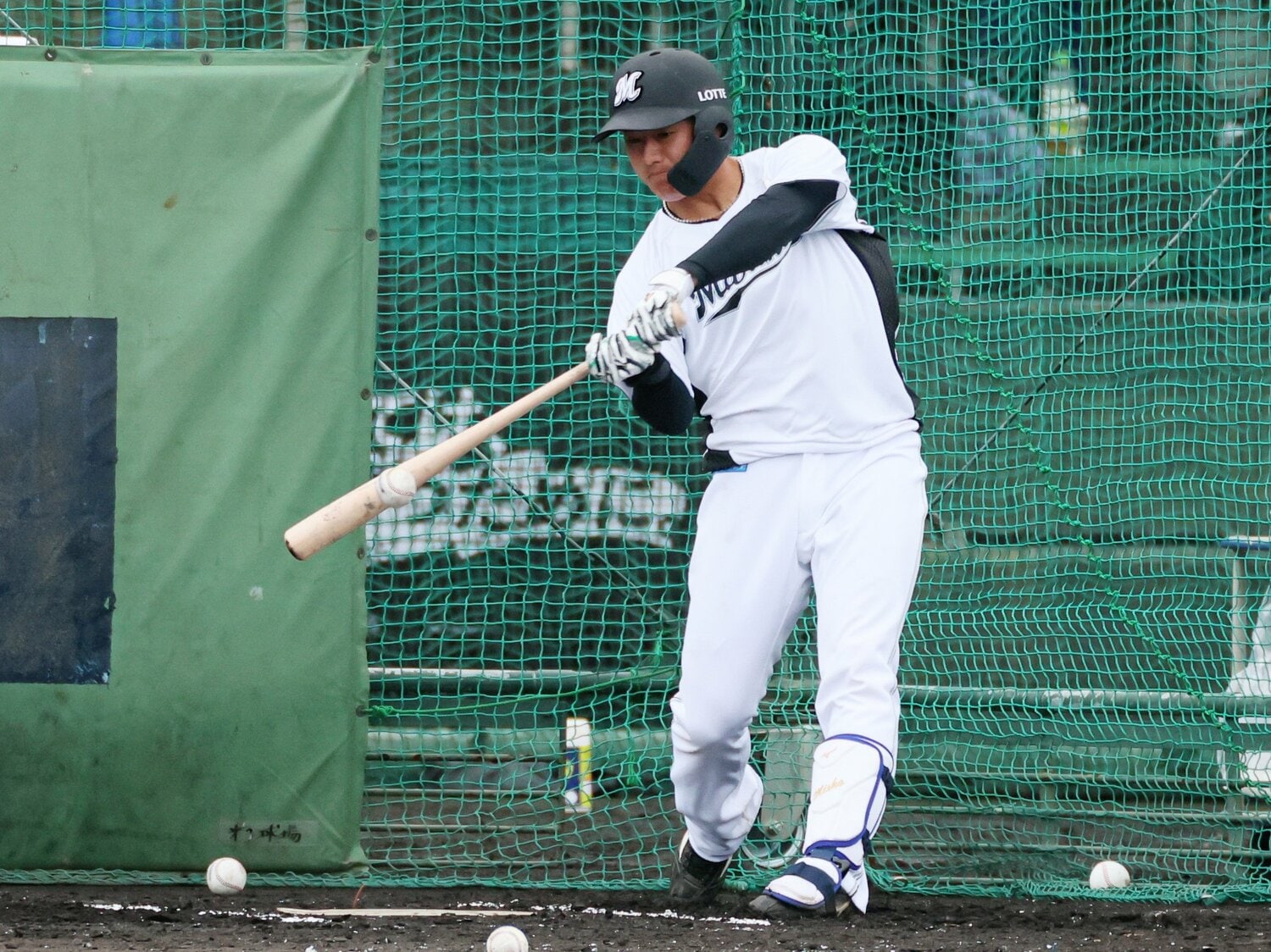 石垣キャンプで打撃練習する西川　©︎JIJI PRESS