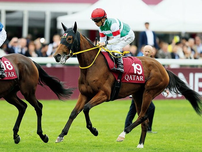 凱旋門賞惨敗の理由は本当に臨戦過程なのか。～日本馬の“ぶっつけ”を考える～＜Number Web＞ photograph by Hideharu Suga