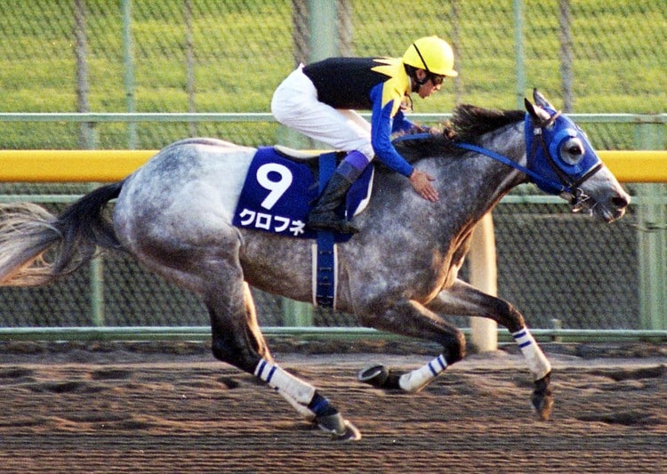 武豊「クロフネという名で外国の馬を負かしに行きたかった」 “伝説のジャパンCダート”は世界を震撼させた（2／3） - 競馬 - Number Web  - ナンバー