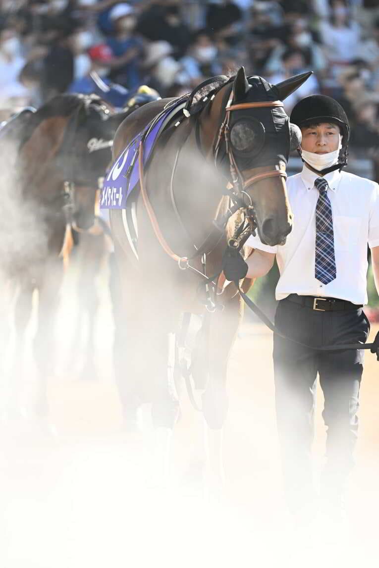 1番人気メイケイエールはなぜ不発に終わった？ 波乱のスプリンターズS、「すべての展開が味方した」ジャンダルムが生んだ“血のドラマ”(20)