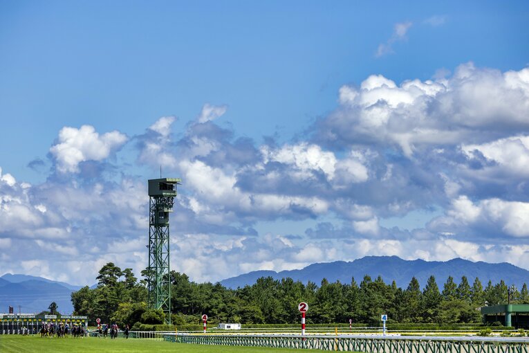 新潟競馬場 ／ photograph by photostud