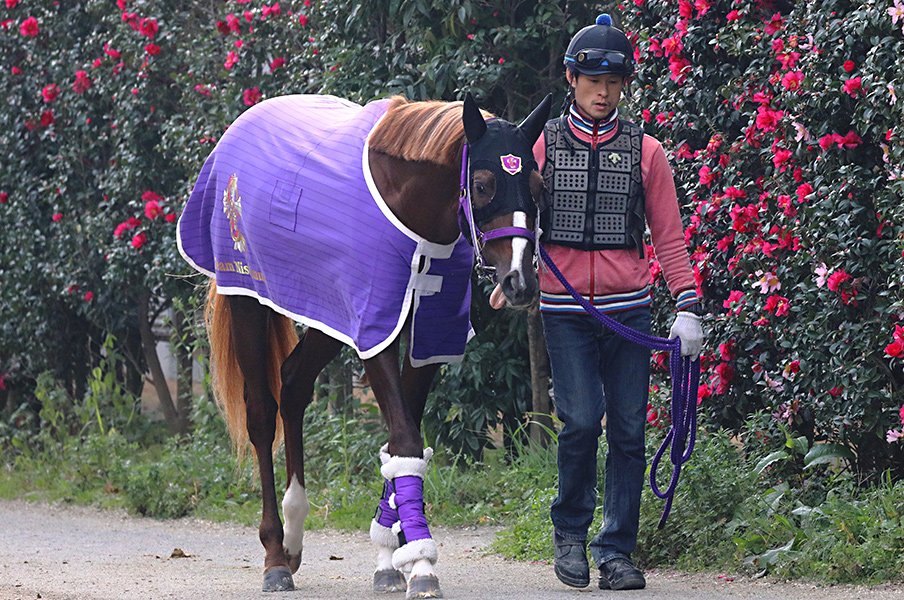 武豊が手にした朝日杯制覇チャンス。馬券的にも「2強」より美味しい?<Number Web> photograph by Yuji Takahashi