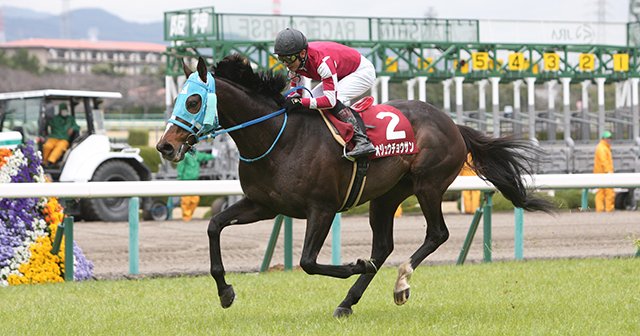 オジュウチョウサンの覚醒にも一役。進化を続ける馬具の今昔物語。（2／4） - 競馬 - Number Web - ナンバー