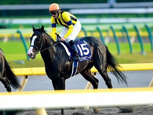 有力ジョッキーが猛勉強中。初の外国籍JRA騎手誕生へ。~ルメール、デムーロが常時参戦か~
