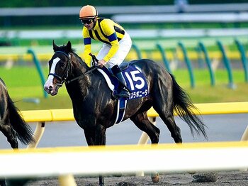 有力ジョッキーが猛勉強中。初の外国籍JRA騎手誕生へ。~ルメール、デムーロが常時参戦か~<Number Web> photograph by NIKKAN SPORTS