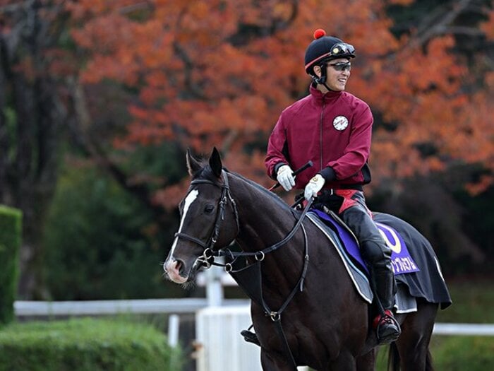 マイルCSで激突するダノンの2頭。プレミアムの潜在能力は本物だ。＜Number Web＞ photograph by Yuji Takahashi