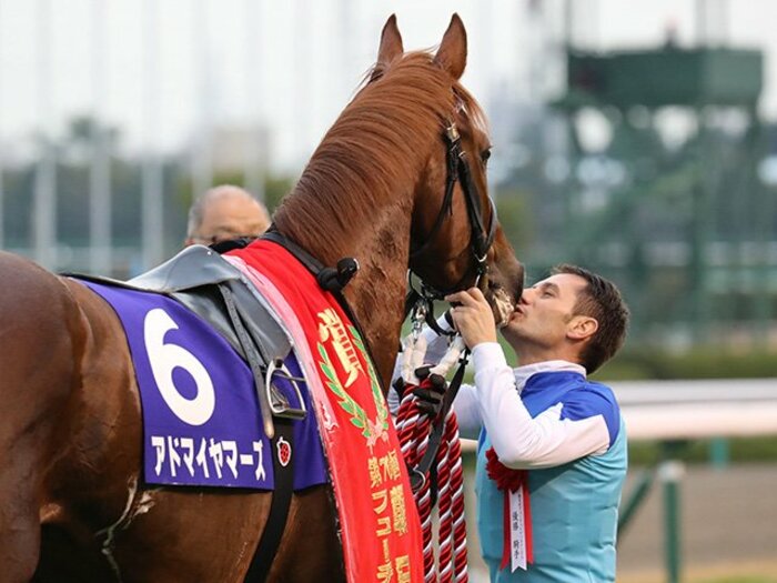 朝日杯、アドマイヤマーズの戦術は、「牡馬で牝馬を負かすときの定石」。＜Number Web＞ photograph by Yuji Takahashi