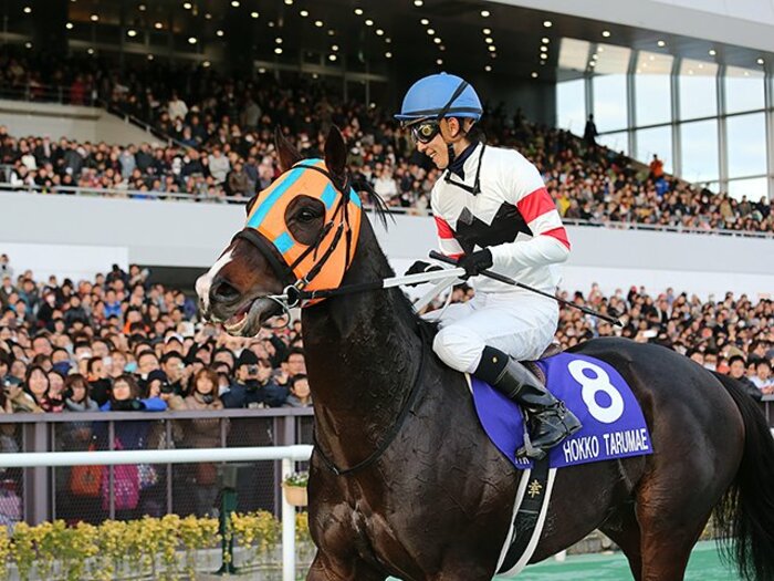 ホッコータルマエが“砂の王”に！初開催のGIで問われた適応力。 ＜Number Web＞ photograph by Yuji Takahashi