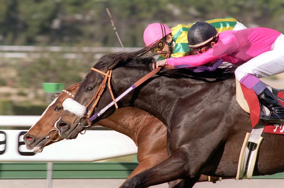 2011年の日本競馬