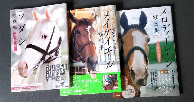 あのメイケイエールが“オリコン3位”にランクイン！ なぜ競走馬の写真集