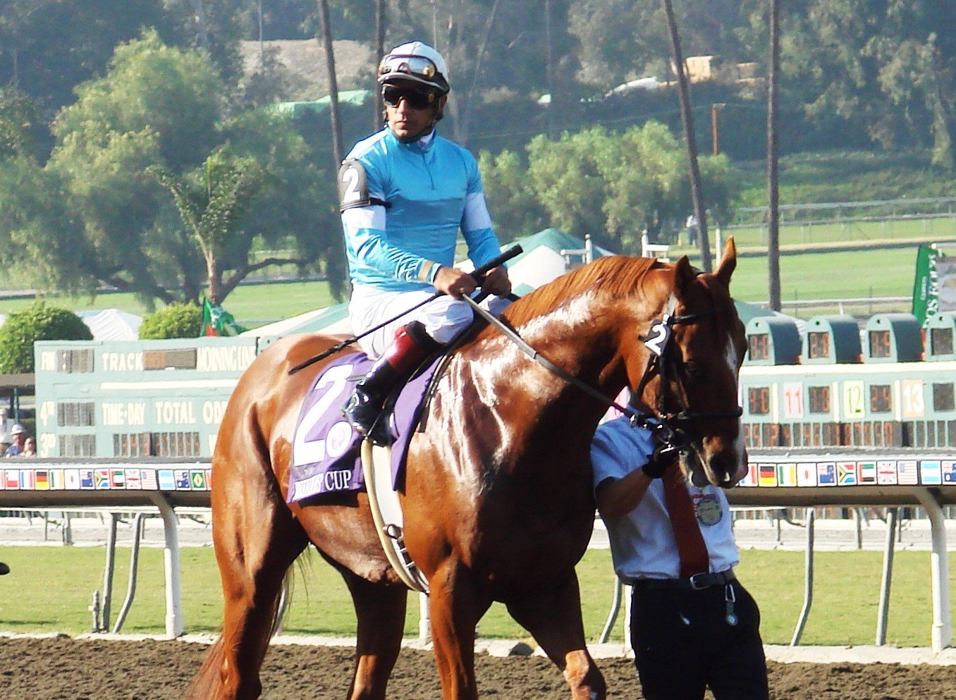 ブリーダーズカップ挑戦時のカジノドライヴ　©Satoshi Hiramatsu