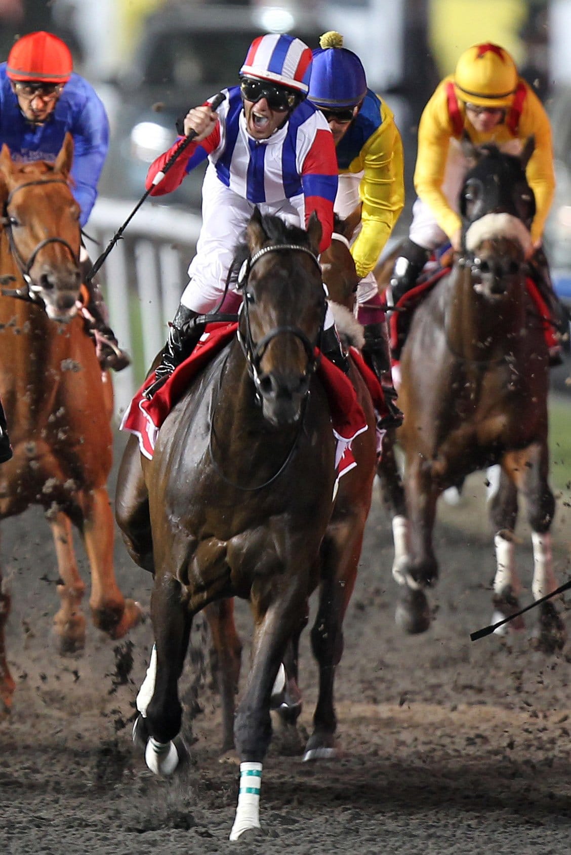 2011年、日本馬として初めてドバイワールドカップを制したヴィクトワールピサ　©AFP/JIJI PRESS