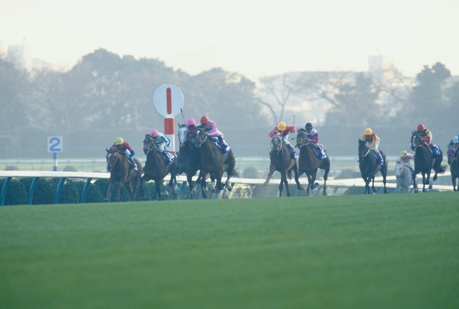 1993年の有馬記念。トウカイテイオーとビワハヤヒデが激しく競り合うなか、3着を確保したナイスネイチャ（左から5頭目）©Tomohiko Hayashi