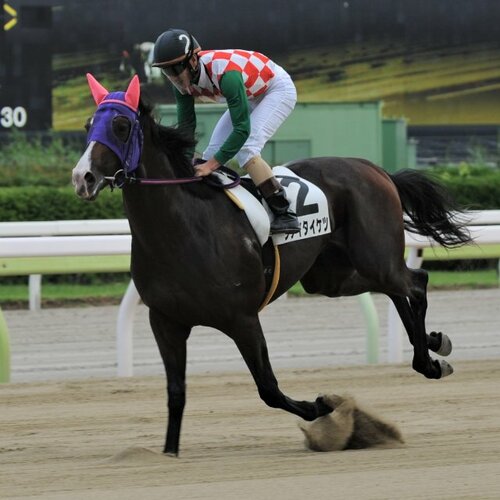 エルコンドルパサーを徹底解剖 - Number Web - ナンバー