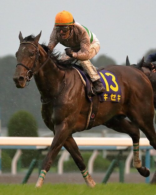 史上最悪レベルの極悪馬場状態。菊花賞でキセキが証明した純粋な力