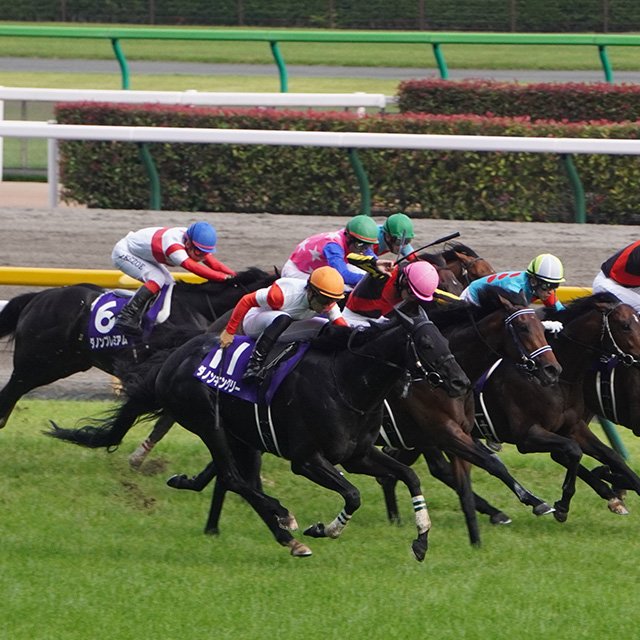安田記念でダノンキングリーを“復活”させた萩原師はダービー馬もよみがえらせていた 「皐月賞は仕事として失敗してしまった」