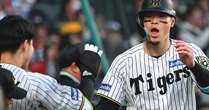 img_079bc1902347f947f1d740cbef