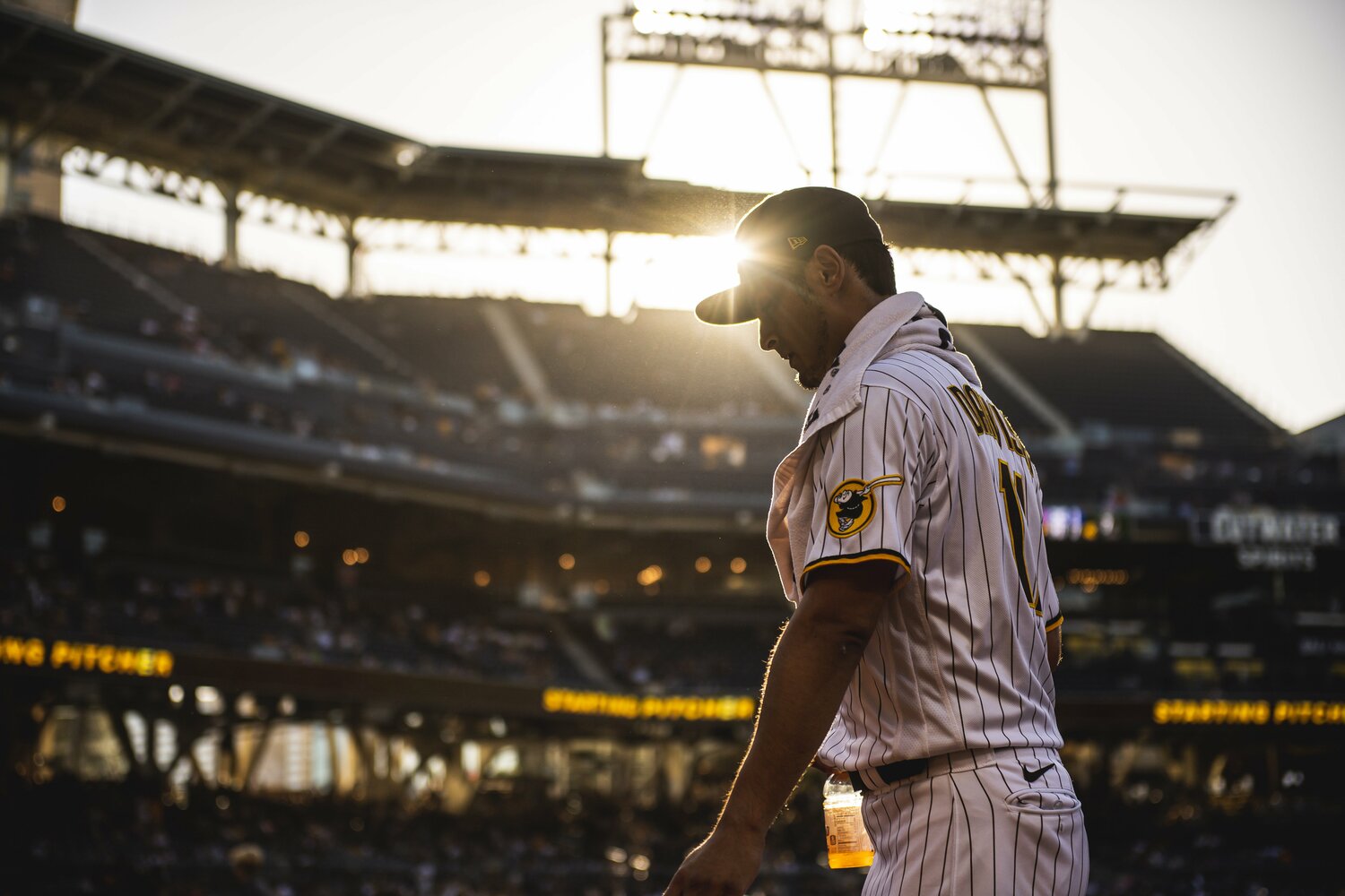 五十嵐亮太氏が“過去最高の投手”と評するダルビッシュ。37歳のキャリアから今後、どこまで進化を遂げるのか　©︎Getty Images