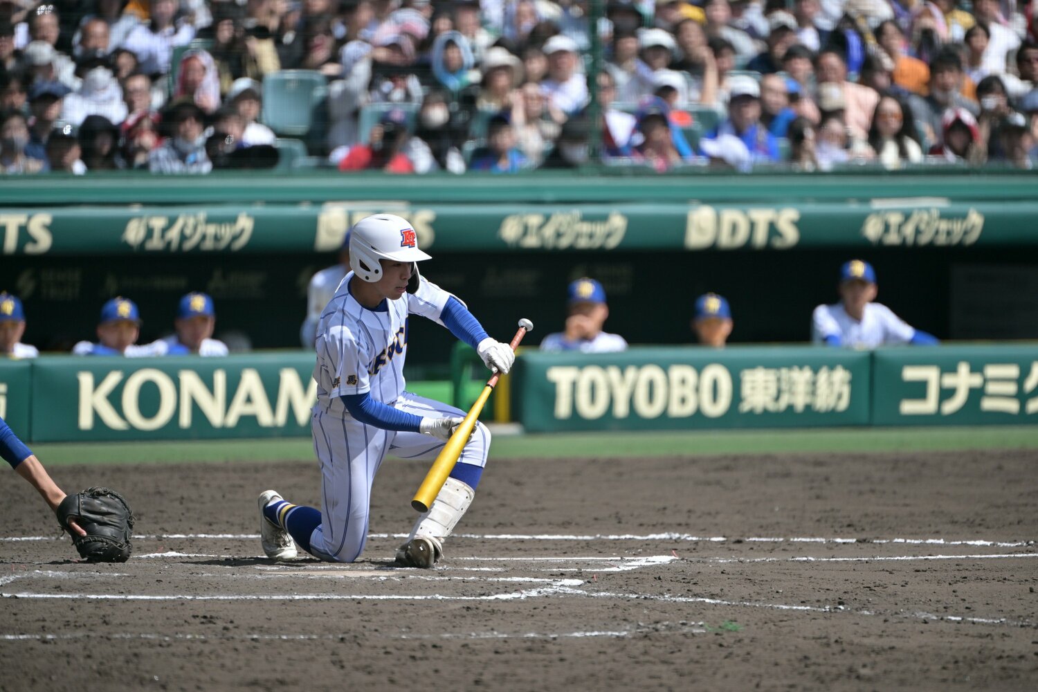 高校野球で、コスト高の木製バットは普及しづらい？ ©Hideki Sugiyama