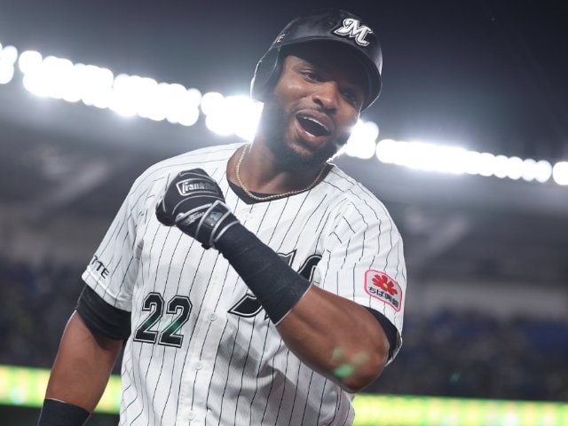 千葉ロッテマリーンズ ポランコ選手実使用バット