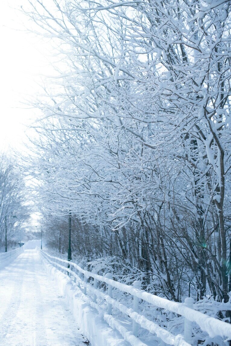 新濱＆森重の出身地・別海町　©Asami Enomoto