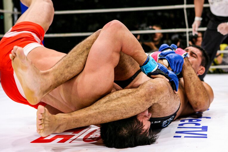 十八番の腕ひしぎ十字固めで完勝した