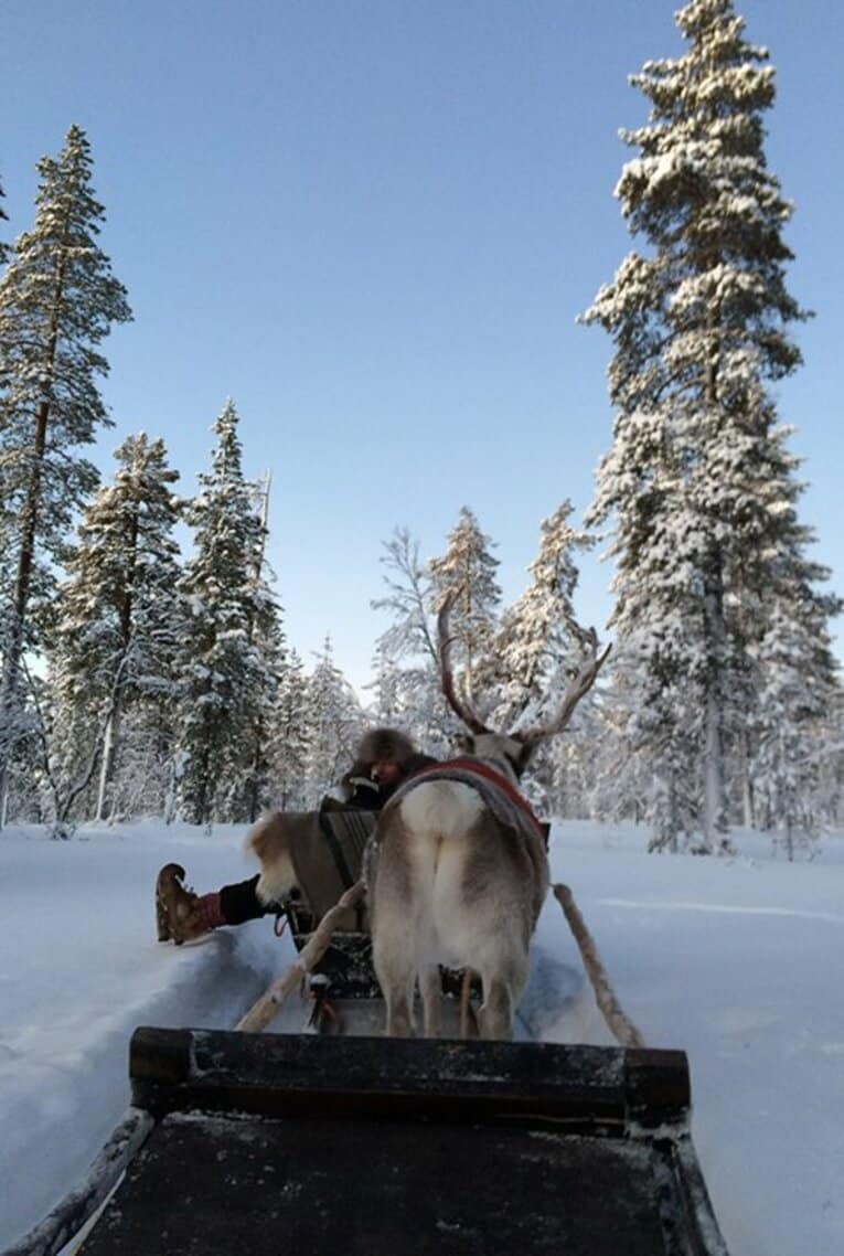 田中亜土夢が再びフィンランドに。サッカーと水墨画に魅せられる日々。(6)