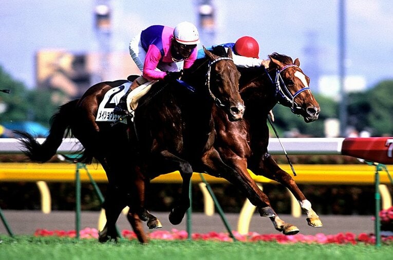 2006年の日本ダービー。粘るアドマイヤメインをかわし、余裕の勝利にも見えたメイショウサムソンの二冠達成の瞬間 ／ photograph by フォトチェスナット