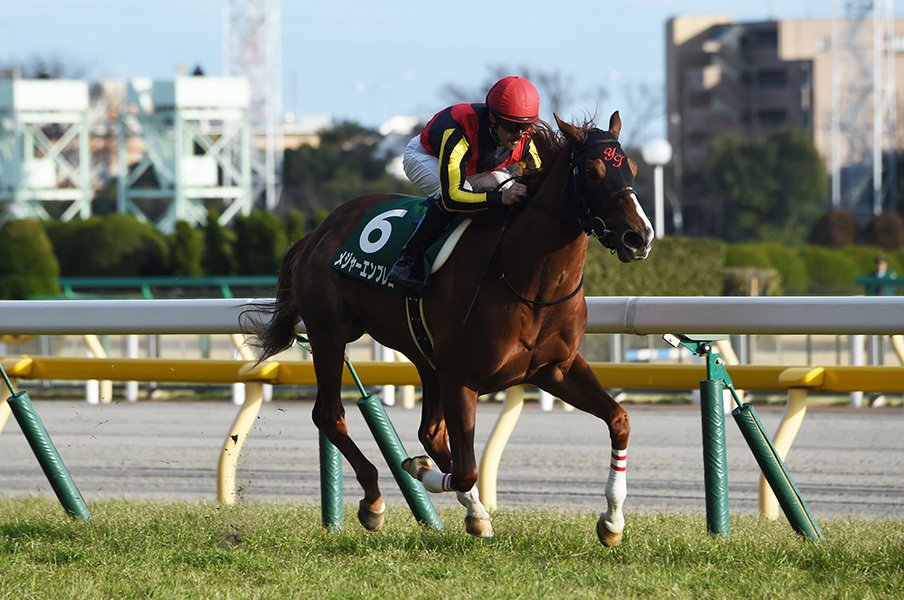 桜花賞を呆れる強さで勝って欲しい。“絶対的一強”メジャーエンブレム。<Number Web> photograph by NIKKAN SPORTS