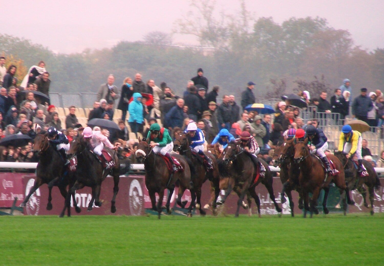 メイショウサムソンが挑戦した2008年の凱旋門賞　©Satoshi Hiramatsu