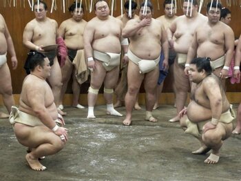 大相撲初場所の見どころは？高き壁・白鵬に朝乃山、高安ら挑む。＜Number Web＞ photograph by Kyodo News